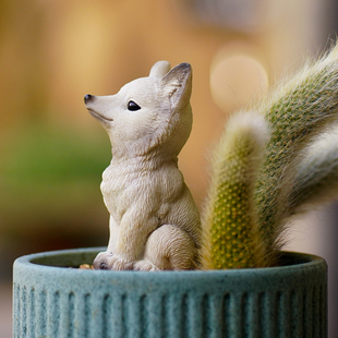 九尾狐狸多肉长毛可爱小尾巴花盆造景装饰品猴尾柱花园微景观摆件