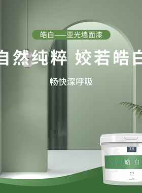 菲玛亚光面漆安全环保乳胶漆