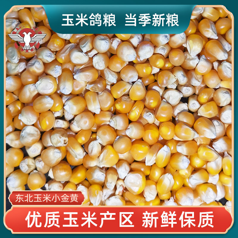 东北小金黄玉米精选鸽粮50斤五谷杂粮赛鸽信鸽鸽子粮食包邮,宠物/宠物食品及用品,鸟食,淘宝优惠券,粉丝福利购,淘宝优惠卷