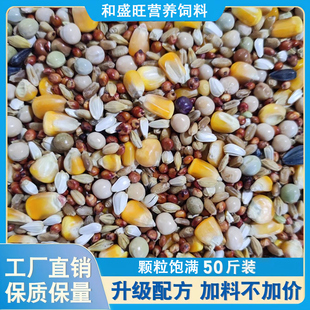 和盛旺鸽粮营养鸽粮50斤有玉米鸟粮赛飞信鸽赛鸽观赏鸽饲料