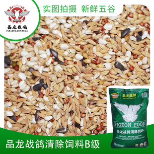 品龙战鸽清除饲料B级50斤鸽粮鸟食无玉米 包邮