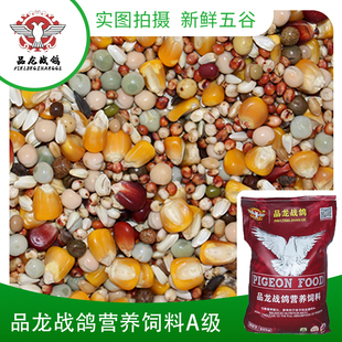 品龙战鸽鸽粮50斤带玉米营养鸽子粮食信鸽鸟食鸽饲料 包邮