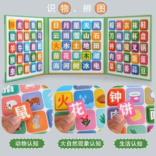 看图识字磁性拼图儿童3到6岁启蒙早教汉字认字卡片幼儿园益智玩具