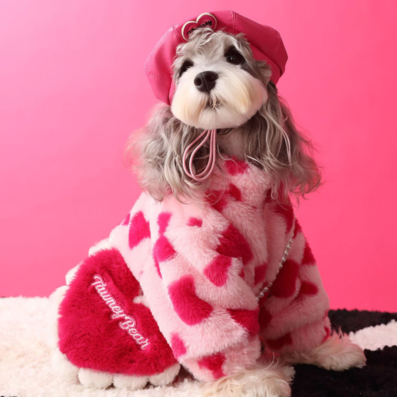 小狗雪纳瑞马尔济斯比熊毛绒外套