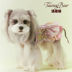 汤尼熊小狗狗春夏款连衣裙雪纳瑞比熊泰迪博美马尔济斯女狗背心裙