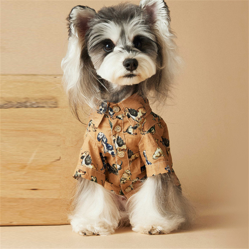 汤尼熊小狗狗小型犬猫咪春款衬衫