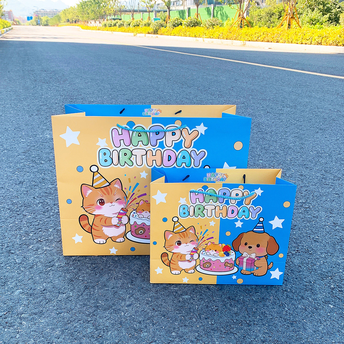 加大装生日礼物包装纸袋手提袋子