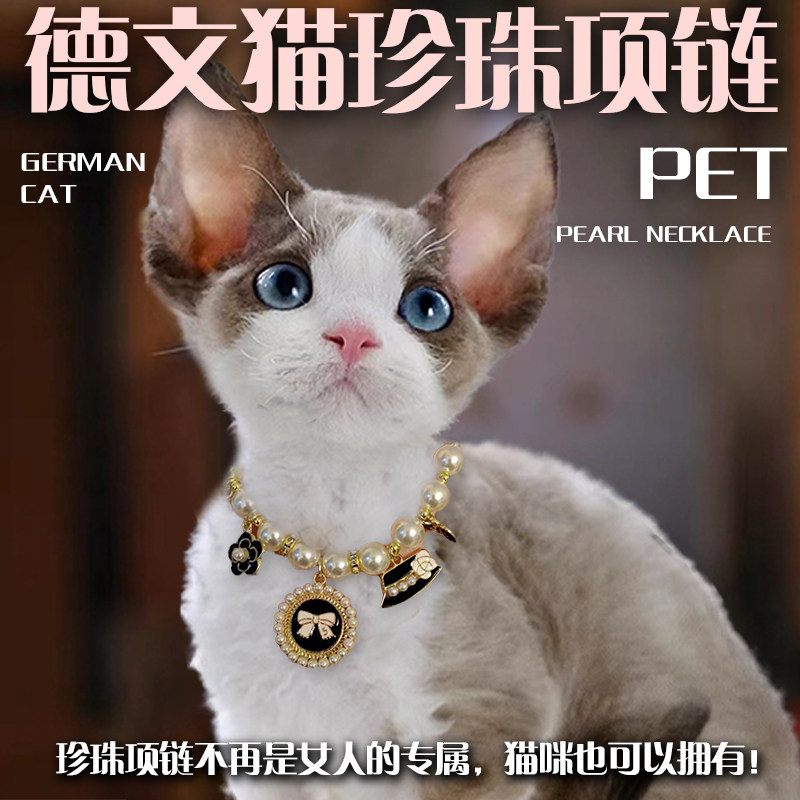 宠物饰品猫咪项链配饰图片