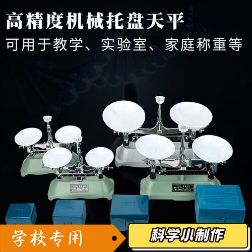 托盘天平称砝码家用小型天平学生物理器材实验室架盘机械天平T89