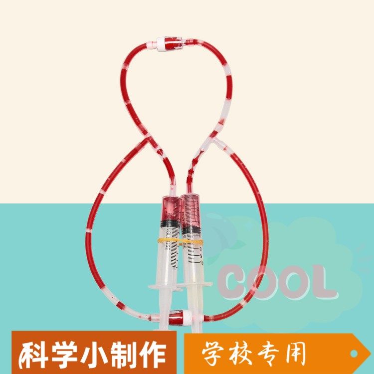 小学生科学实验器材 DIY人体血液循环模型幼儿园科技小制作SS01