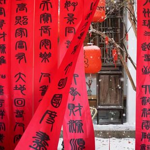 2025蛇年新年对联拍照道具年会中国风背景红色书法毛笔字挂布条幅