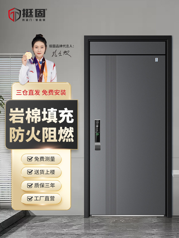 挺固甲级防盗门入户门进户门子母门家用大门轻奢单开门带智能锁门