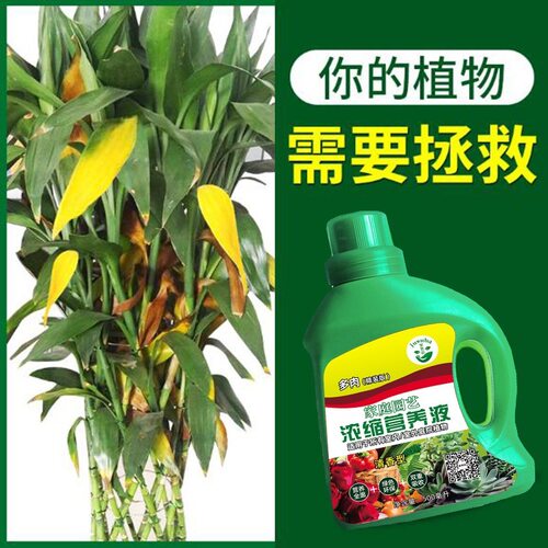 通用型植物营养液花草盆栽家用水培花卉养花绿萝肥料室内绿植花肥