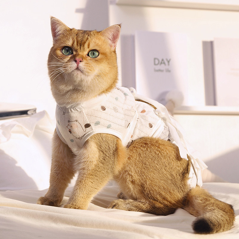 猫咪绝育服母猫手术服宠物猫猫术后防舔小猫幼猫断奶戒奶衣服透气