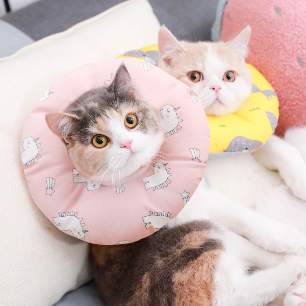 猫咪吐司头套面包围脖头饰配饰