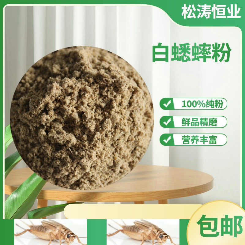 蟋蟀粉干粉高蛋白饲料