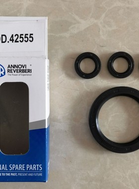 意大利AR泵头配件RRV4G40HD油封C0D42555 RR18.16C RR15.20C