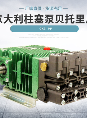 CK110 CK115贝托里尼意大利BERTOLINI 意大利柱塞泵泵头博托里尼