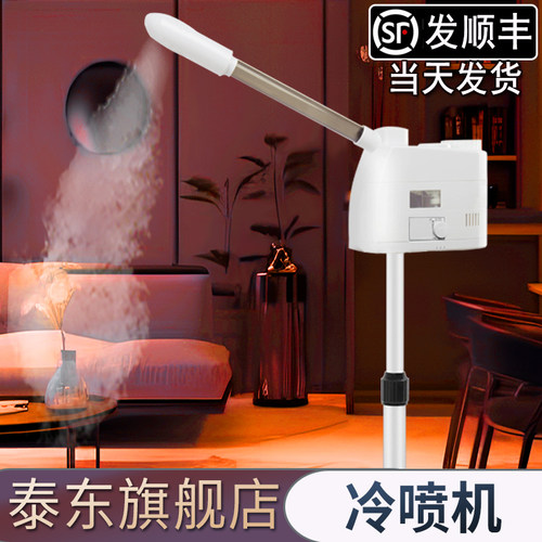 泰东旗舰店补水仪美容院蒸脸器