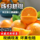 橙子新鲜水果湖北秭归脐橙纽荷尔脐橙当季 现摘孕妇榨汁手剥橙10斤