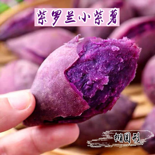 2026年当季新鲜紫薯粉糯农家自种