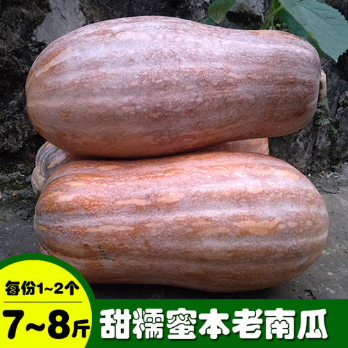 当季新鲜老南瓜农家自种糯面甜