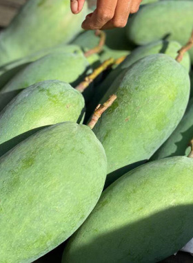 当季芒果新鲜越南大青芒孕妇热带水果特大青皮金煌芒广西时令生鲜