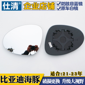 适用于比亚迪海豚 新能源海豚 海鸥大视野蓝镜倒车反光后视镜片