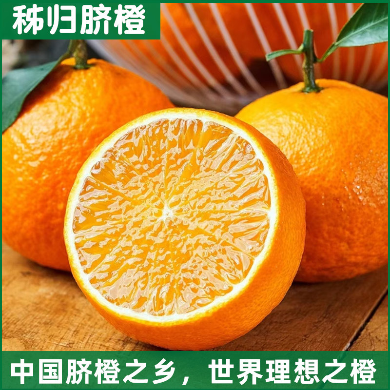 秭归脐橙次果秭归产地源头直发