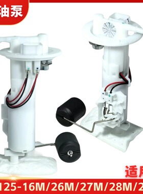适用于大阳电喷摩托车DY125T-16M/26M/27M/28M/29M燃油汽油泵马达