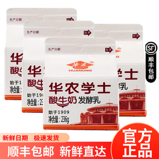 华农酸奶学士原味酸牛奶236ml网红酸奶高校特产整箱 包邮