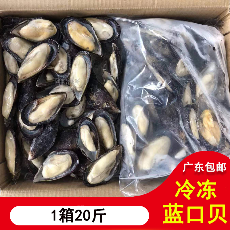 半壳冷冻蓝口贝青口贝黑口贝贻贝淡菜冷冻贝壳类海鲜 1箱20斤-封面