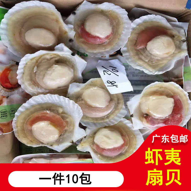 扇贝王冷冻半壳虾夷帝王贝超大贝柱海鲜烧烤扇贝 1件10包 10-12cm