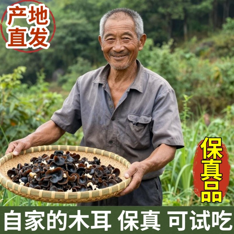 黑木耳250g/500g/正宗东北黑木耳木耳干货小碗耳无根长白山黑木耳