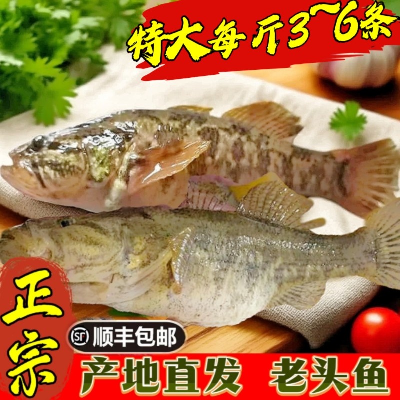 冷水老头鱼黑龙江省整条鱼
