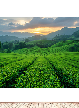 自然山水风景画茶园茶山绿色海报制作茶馆茶室茶厅贴画墙画07