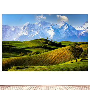新疆江布拉克草原海报定制自然风景宿舍墙贴画卧室装饰画