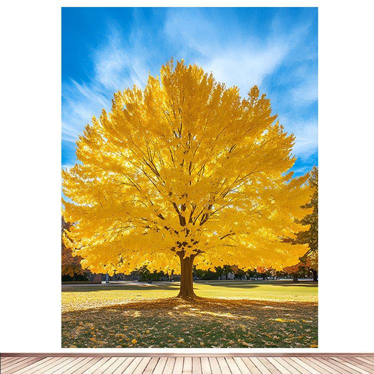发财树银杏树秋季黄金树发财树海报自然风景画客厅背景墙装饰墙画