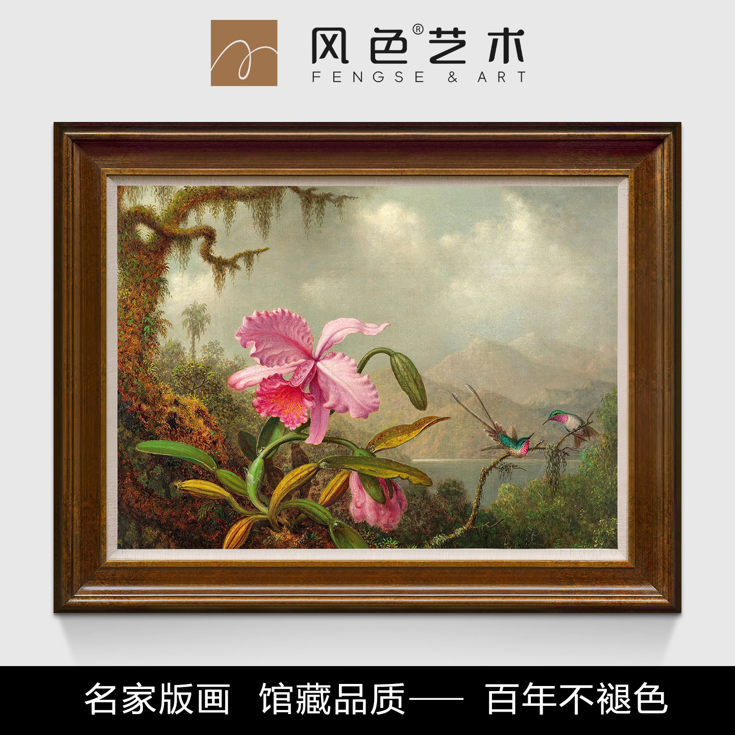 风色兰花与蜂鸟美式花鸟油画挂画