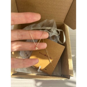 bm项链女生新款小蝴蝶吊坠锁骨链靠谱国内代购正品brandymelville