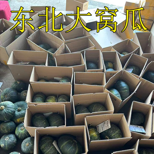 8斤新鲜正宗东北绿窝瓜东北农家小园大窝瓜炖倭瓜蔬菜谢花面包邮