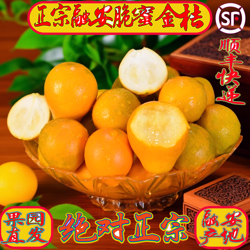 融安脆蜜金桔第三代广西顺丰包邮