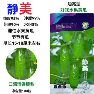 静美雌性好吃水果黄瓜种子中早熟生吃清新爽脆鲜嫩多汁油亮型