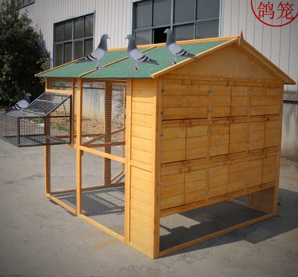 新款户外庭院木制鸽舍户外实木鸽具赛鸽笼棚鸽子养繁殖笼家用大号
