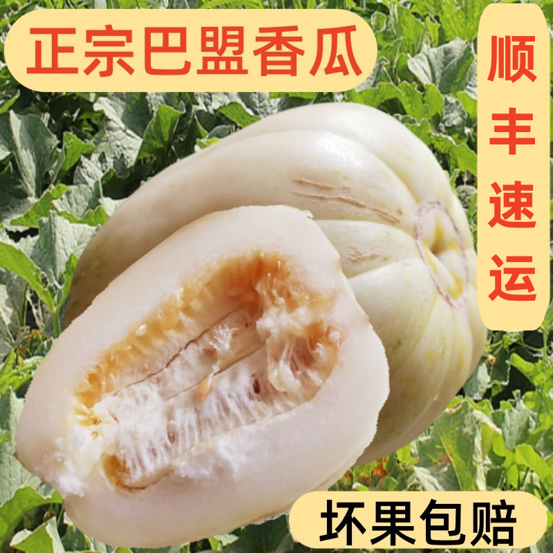 正宗巴盟香瓜5斤内蒙应季新鲜水果白莲脆甜瓜蜜瓜整箱小瓜发顺丰