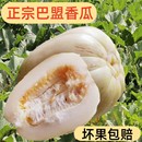 新鲜时令水果白梨脆甜瓜蜜瓜哈密瓜整箱现发 巴盟香瓜5斤内蒙当季