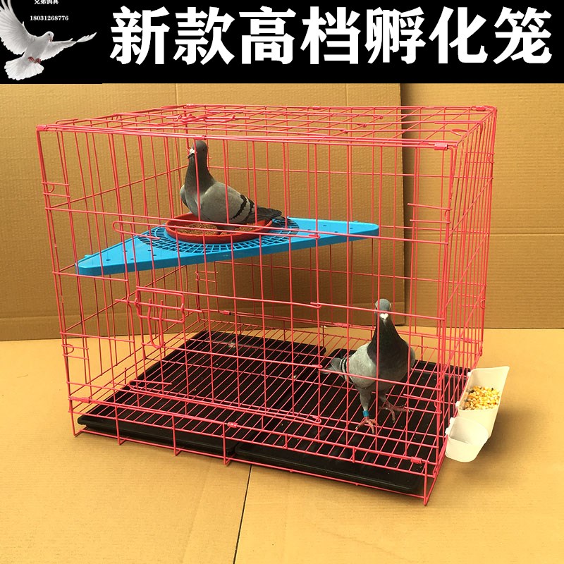 鸽子笼大号家用配对笼养殖笼鸡笼鸽子笼兔笼折叠笼大型镀锌铁丝笼