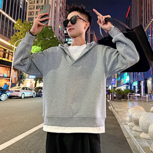B170加绒/P88控118 连帽假两件加绒卫衣男1图片