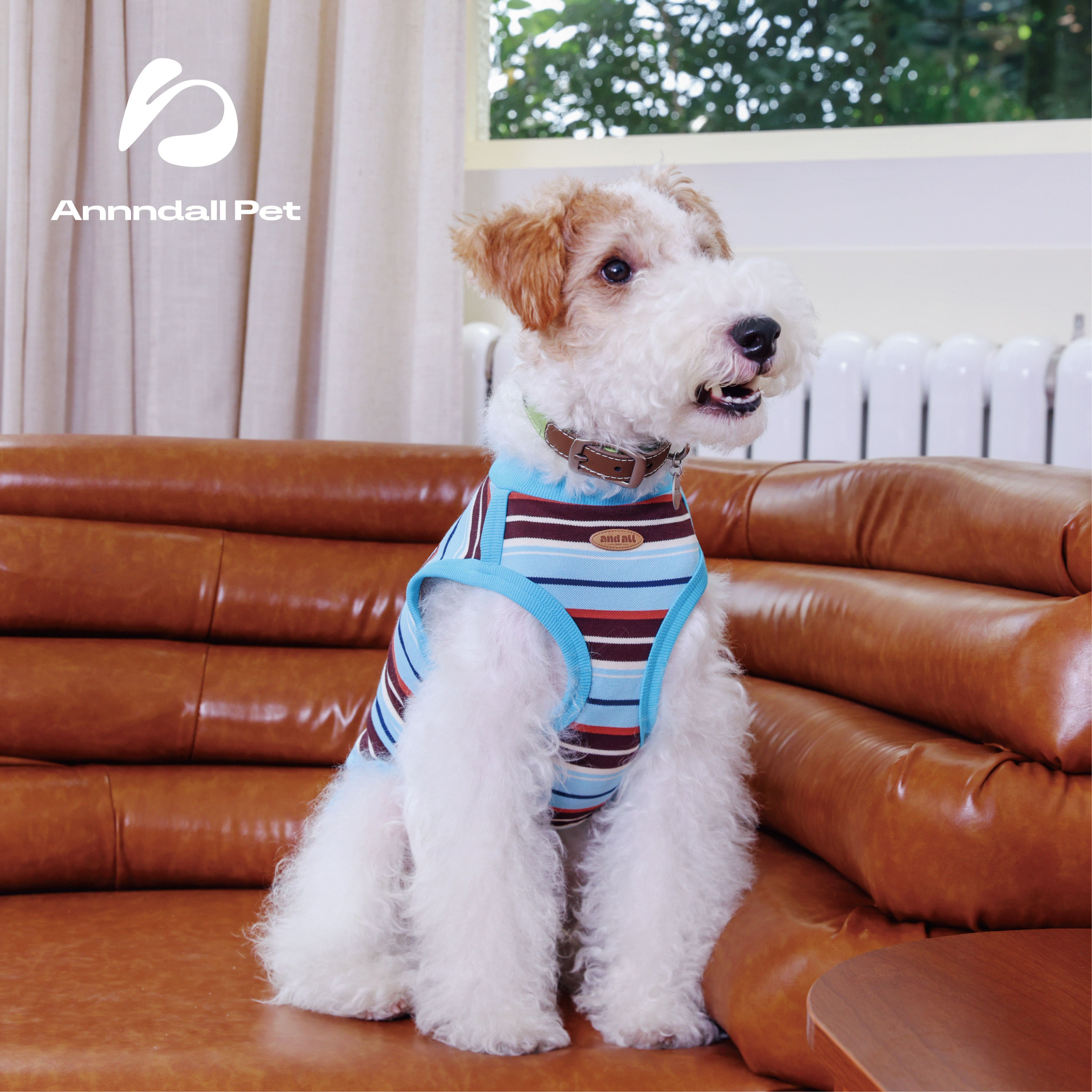 andall狗狗衣服中小型犬凉凉衣腊肠西高地雪纳瑞背心宠物衣服薄款