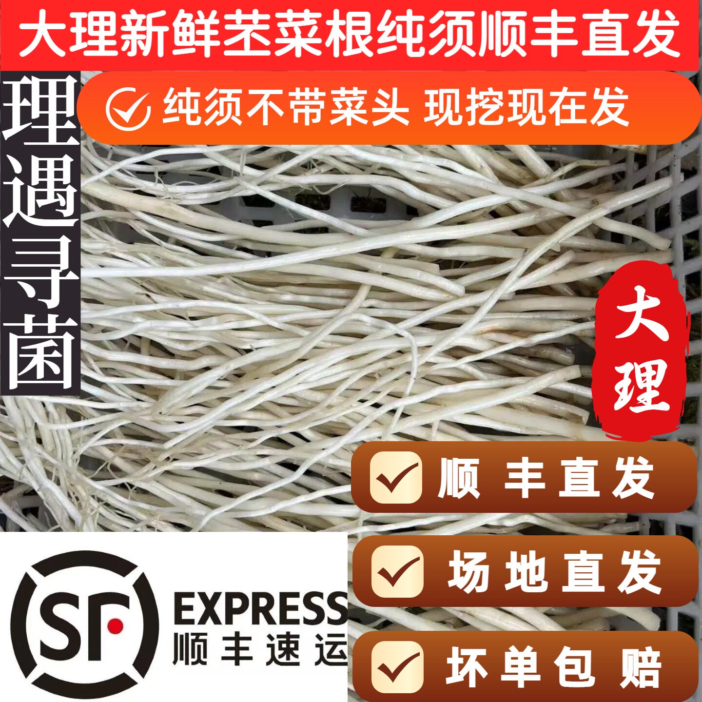 大理顺丰直发新鲜撇菜根瓦味配料纯须不带彩头佤味苤菜根不带菜头